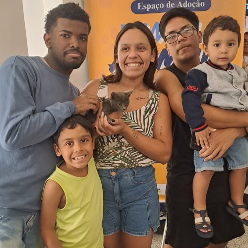 VR: espaço de adoção ‘Família Animal’ acontece neste sábado em dois pontos da cidade